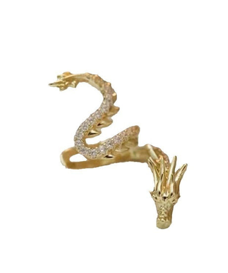 Sweet Cool Dragon