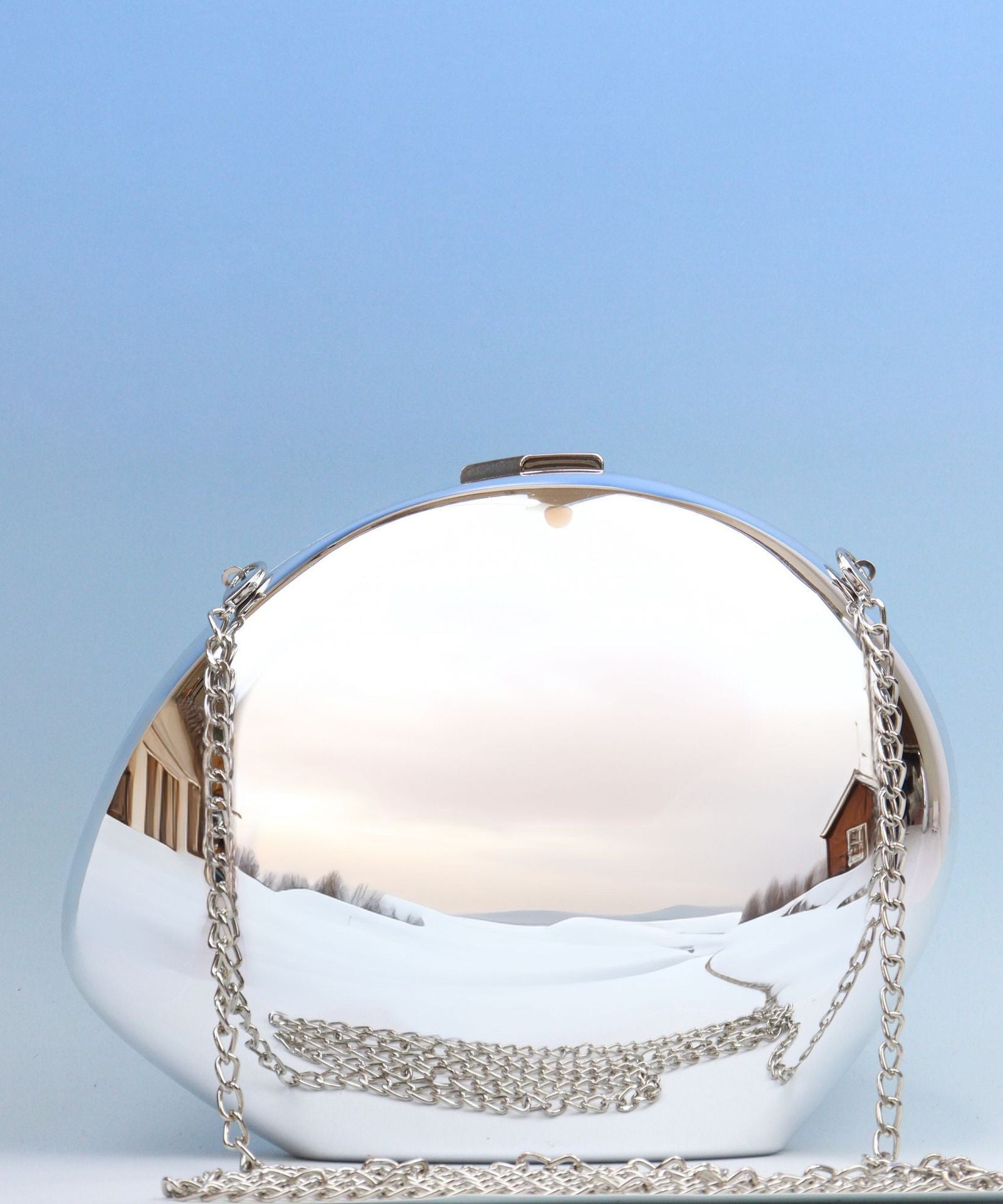 Acrylic Metallic Goose Clutch